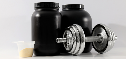 Best Protein Powder